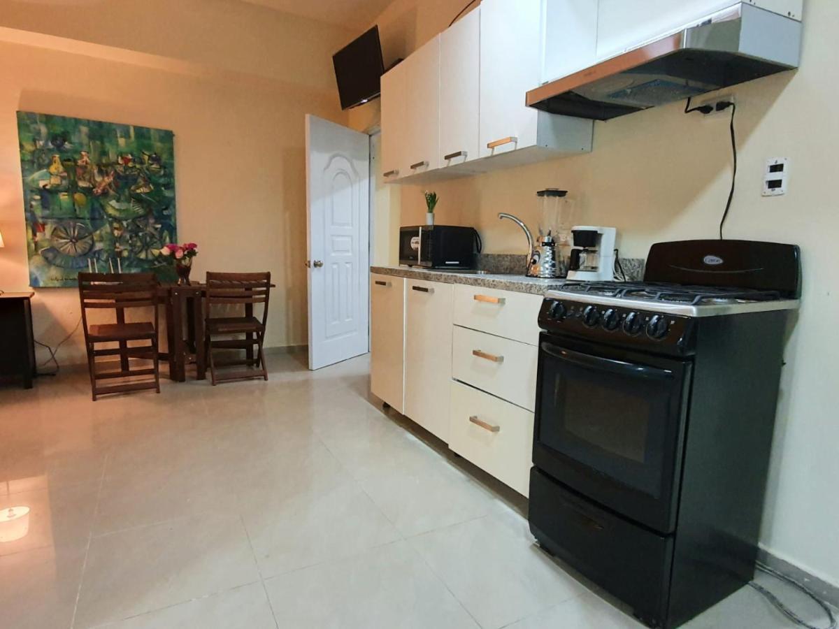 Apartamentos Roman Santo Domingo Bagian luar foto